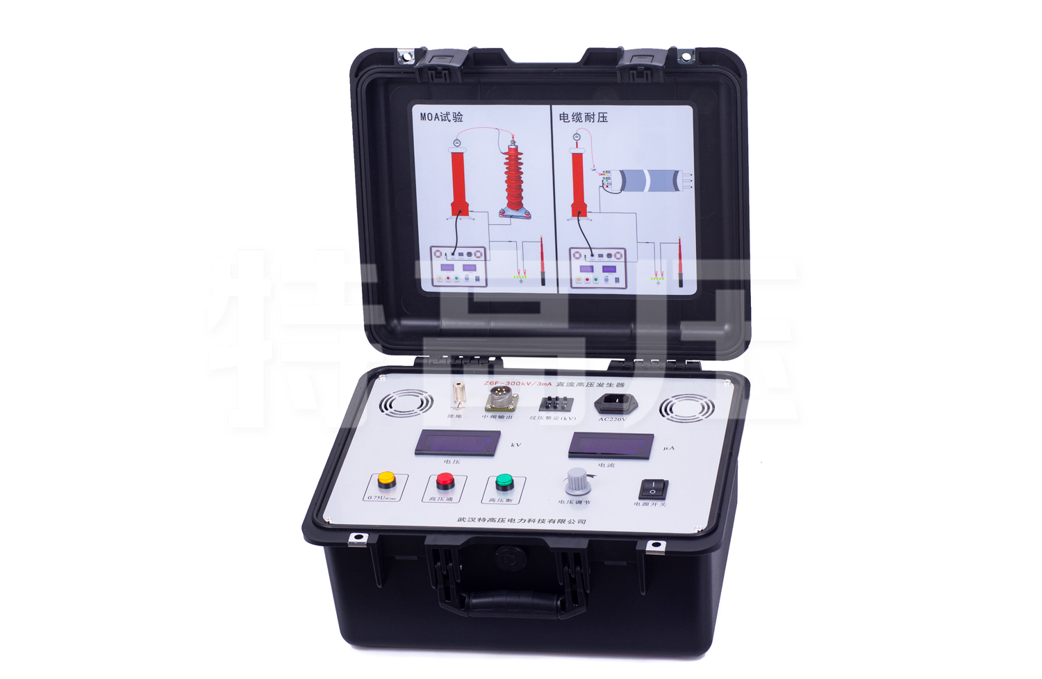 ZGF系列 直流高压发生器